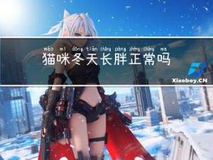 猫咪冬天长胖正常吗