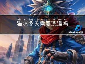 猫咪冬天需要洗澡吗