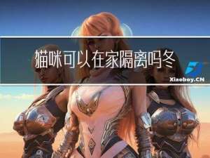 猫咪可以在家隔离吗冬天