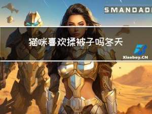 猫咪喜欢揉被子吗冬天