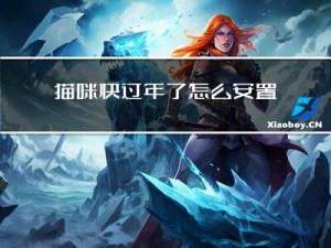 猫咪快过年了怎么安置