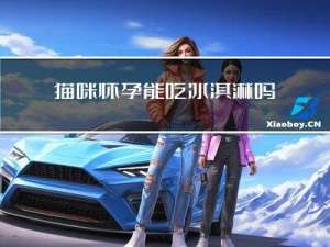 猫咪怀孕能吃冰淇淋吗冬天