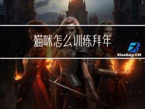 猫咪怎么训练拜年