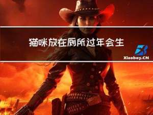 猫咪放在厕所过年会生病吗