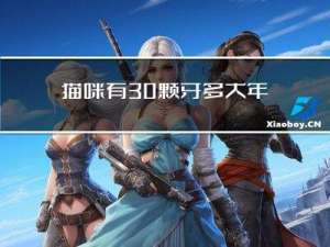 猫咪有30颗牙多大年纪