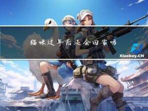 猫咪过年后还会回家吗小说