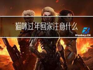 猫咪过年回家注意什么卫生