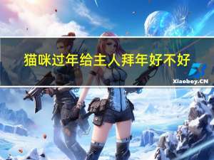 猫咪过年给主人拜年好不好