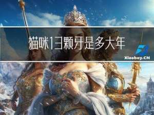 猫咪13颗牙是多大年龄
