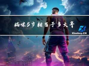 猫咪5岁相当于多大年纪