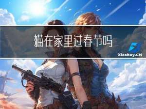 猫在家里过春节吗