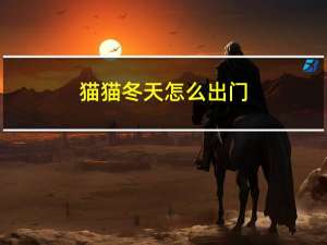猫猫冬天怎么出门