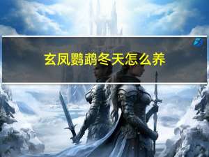 玄凤鹦鹉冬天怎么养