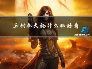 玉树冬天施什么肥好看