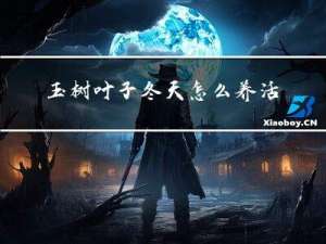 玉树叶子冬天怎么养活