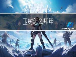 玉树怎么拜年
