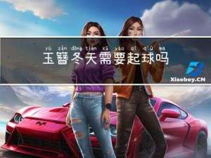 玉簪冬天需要起球吗