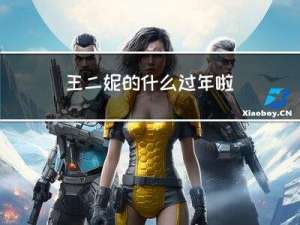 王二妮的什么过年啦