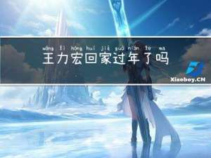 王力宏回家过年了吗
