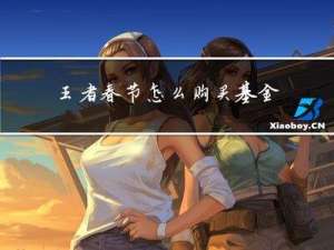 王者春节怎么购买基金金额