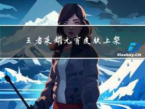 王者荣耀元宵皮肤上架多久