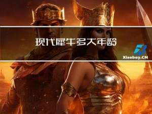 现代犀牛多大年龄