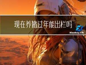 现在养猪过年能出栏吗