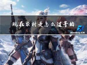 现在农村是怎么过年的视频