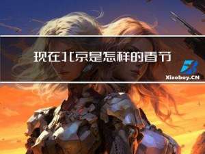 现在北京是怎样的春节