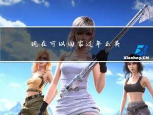 现在可以回家过年么英文