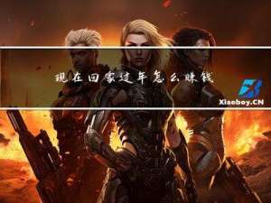 现在回家过年怎么赚钱的