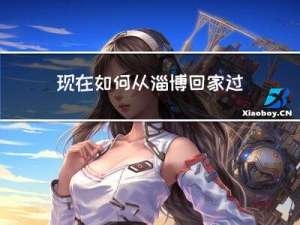 现在如何从淄博回家过年