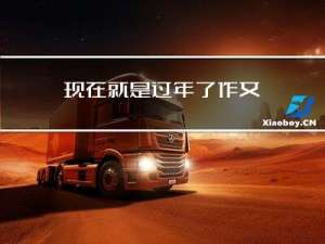 现在就是过年了作文