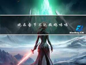 现在春节不能放炮吗吗