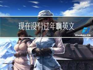 现在没有过年啊英文