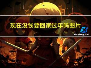 现在没钱要回家过年吗图片