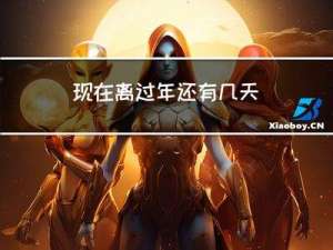 现在离过年还有几天