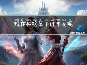 现在种啥菜了过年卖呢