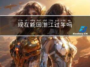 现在能回浙江过年吗