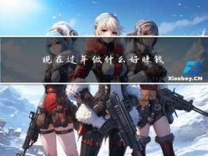 现在过年做什么好赚钱