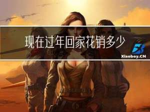 现在过年回家花销多少钱