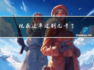 现在过年过到几号了