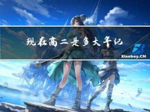 现在高二是多大年纪