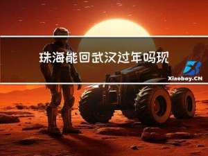 珠海能回武汉过年吗现在