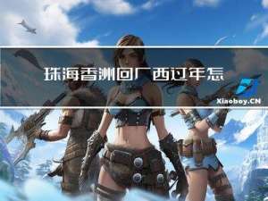 珠海香洲回广西过年怎么样