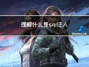 理解什么是sql注入攻击 + xss攻击 + cors 攻击