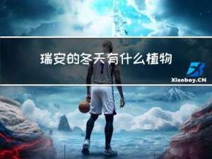 瑞安的冬天有什么植物