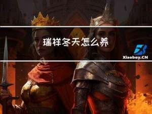 瑞祥冬天怎么养
