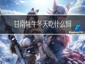 甘南牦牛冬天吃什么饲料