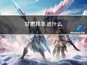 甘肃拜年送什么